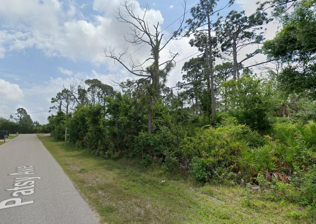 12519 PATSY AVE, PORT CHARLOTTE, FL, 33981