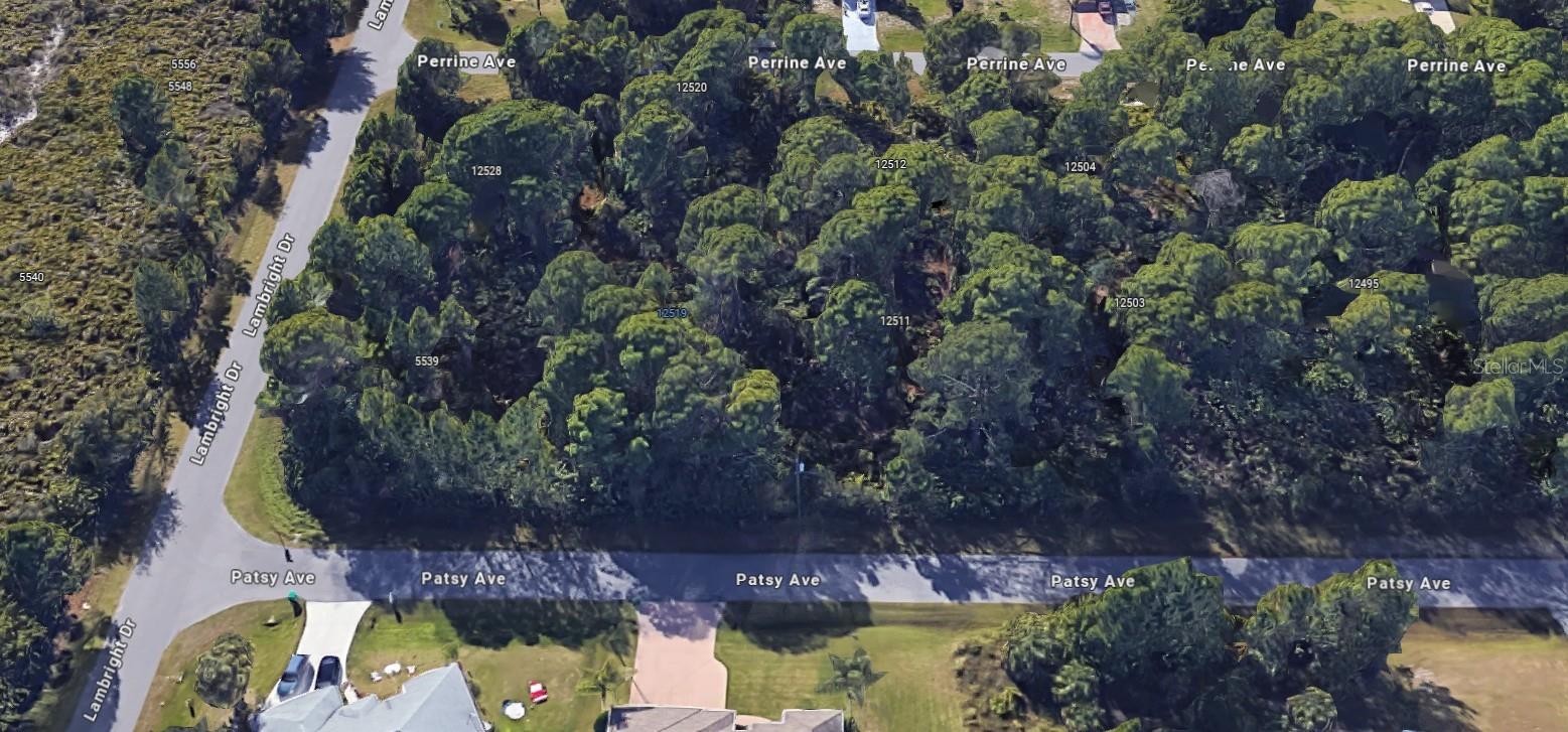 12519 PATSY AVE, PORT CHARLOTTE, FL, 33981