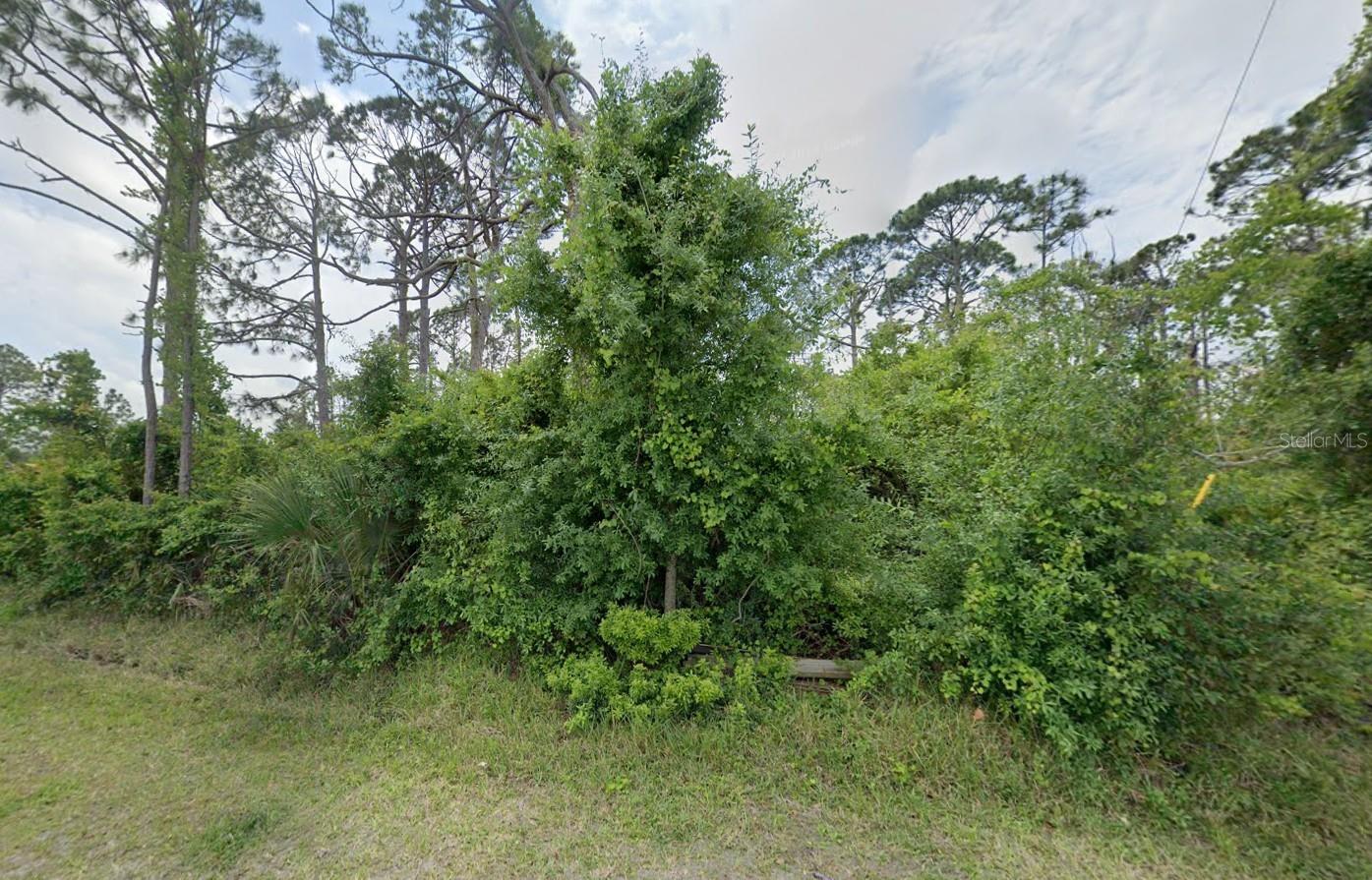 12519 PATSY AVE, PORT CHARLOTTE, FL, 33981