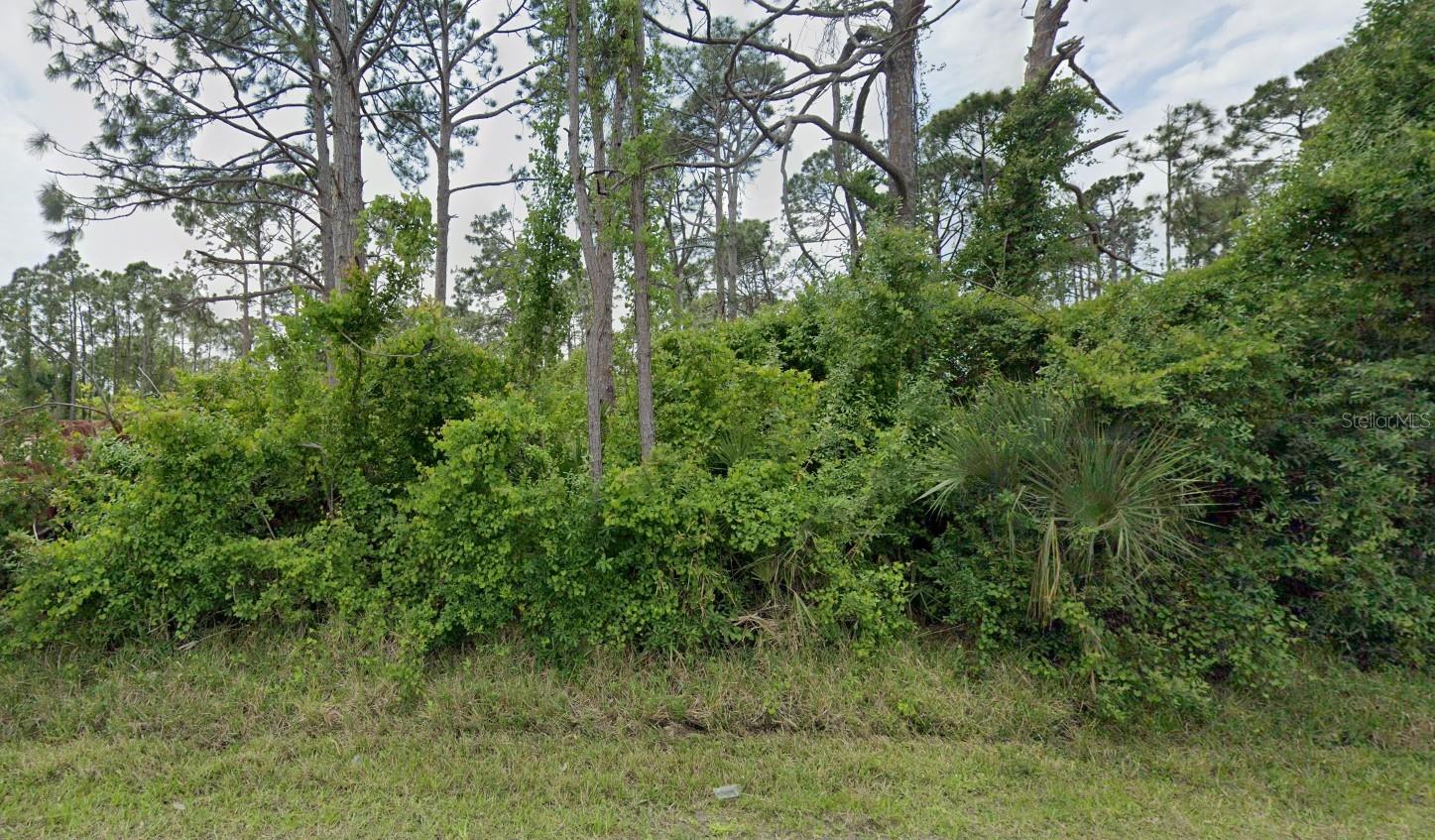 12519 PATSY AVE, PORT CHARLOTTE, FL, 33981