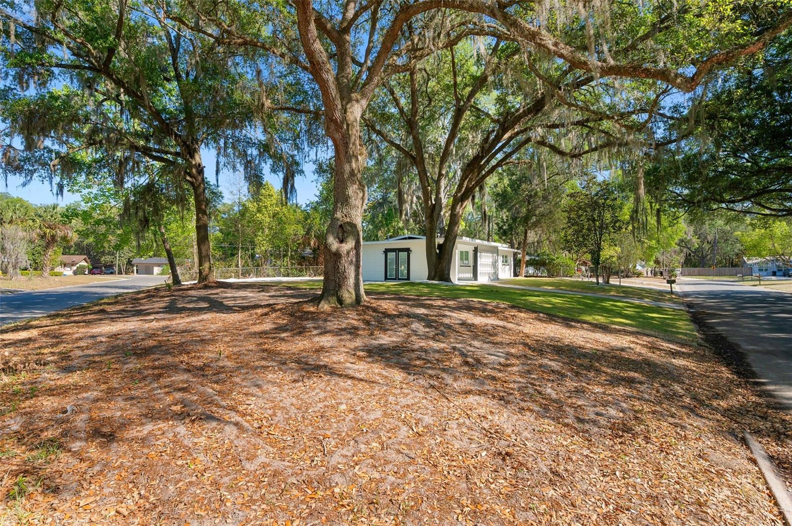 1919 NE 17TH DR, GAINESVILLE, FL, 32609