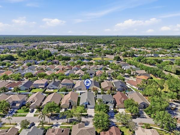 12219 BISHOPSFORD DR, TAMPA, FL, 33626