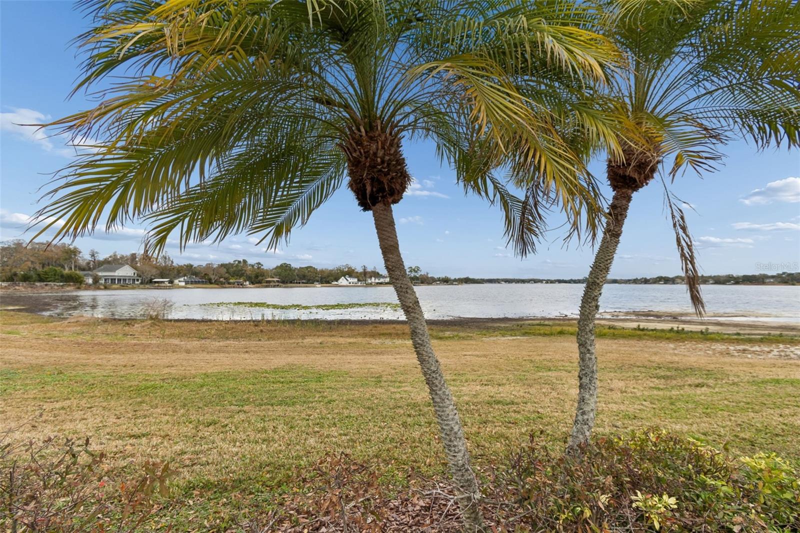 13765 JUNIPER BLOSSOM DR #101, TAMPA, FL, 33618