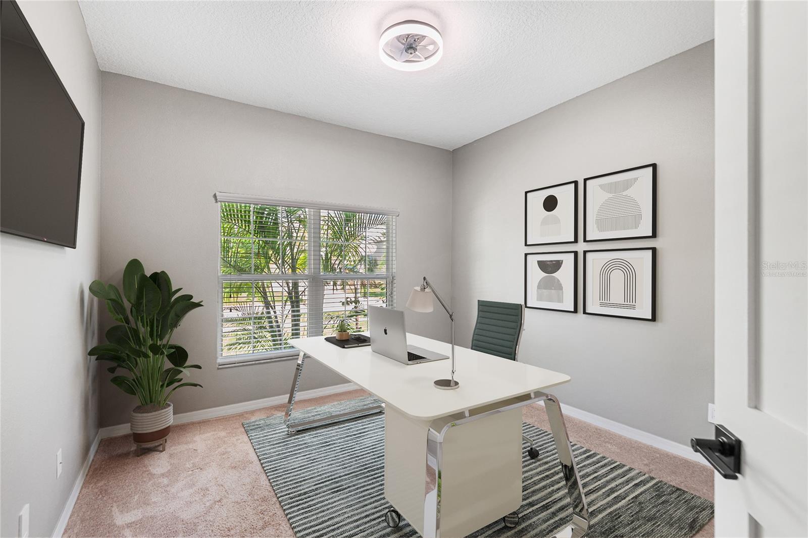 11421 CARLTON FIELDS DR, RIVERVIEW, FL, 33579