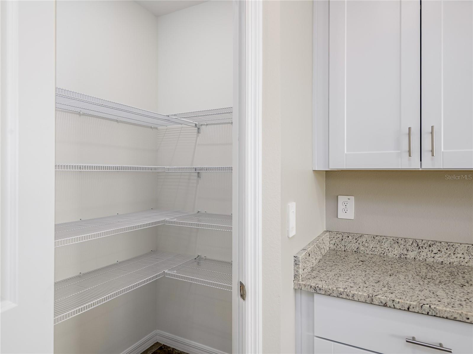 1748 FOREST RUN LN, AUBURNDALE, FL, 33823