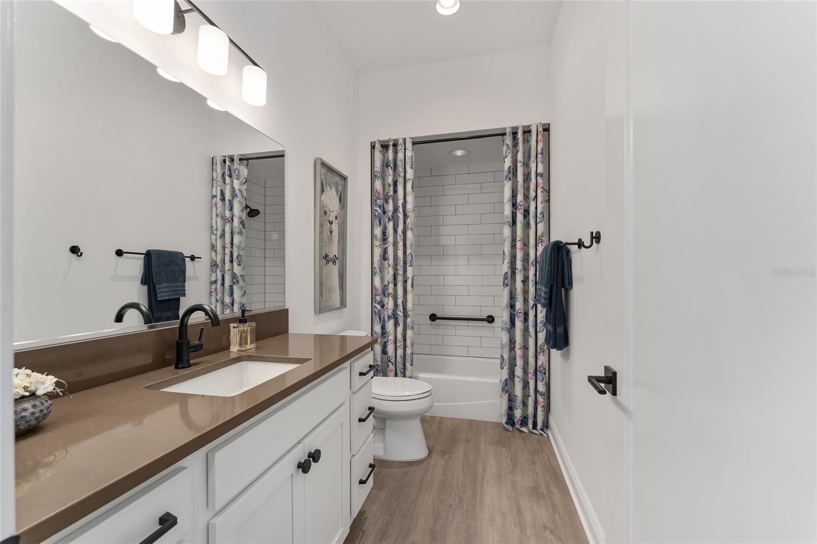 1146 EBLING LOOP, THE VILLAGES, FL, 32163