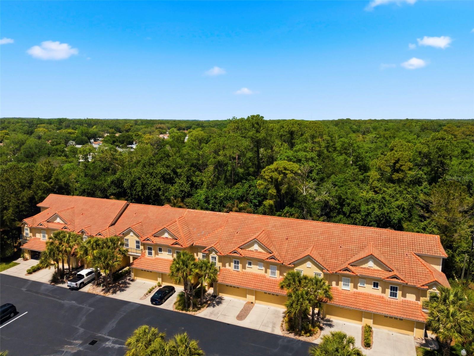 2670 TANGLEWOOD TRL, PALM HARBOR, FL, 34685