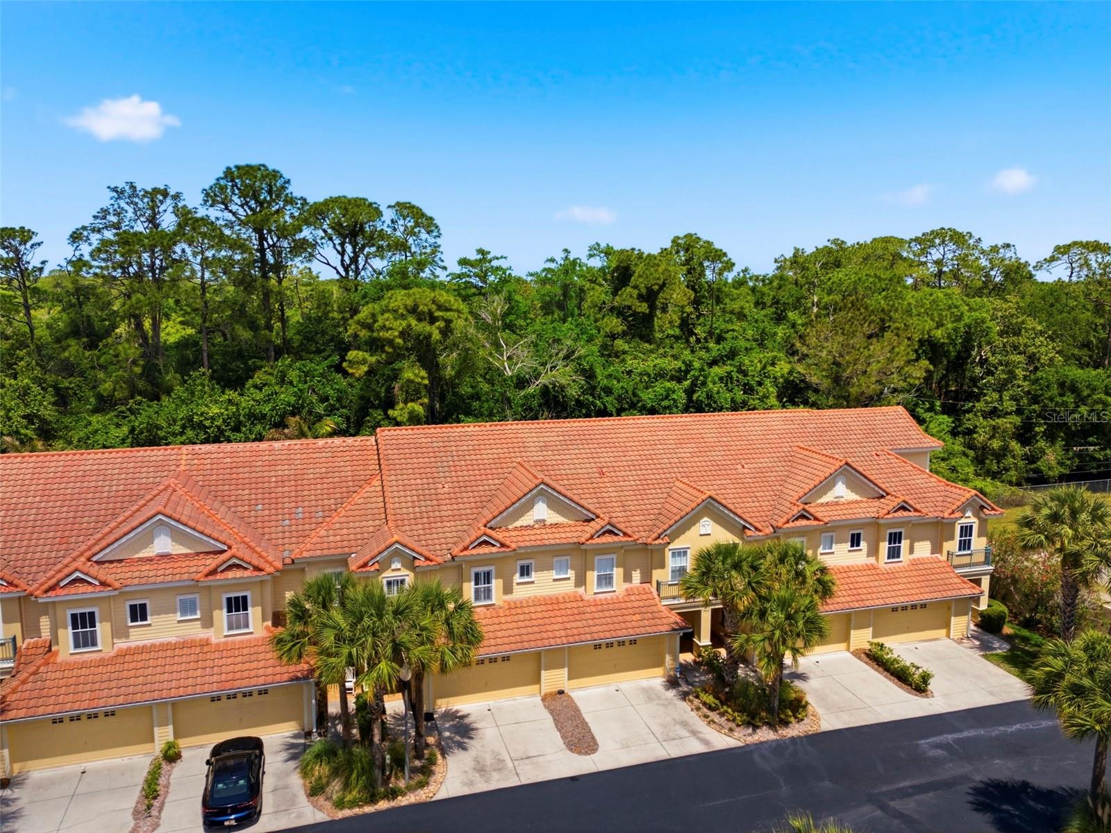 2670 TANGLEWOOD TRL, PALM HARBOR, FL, 34685