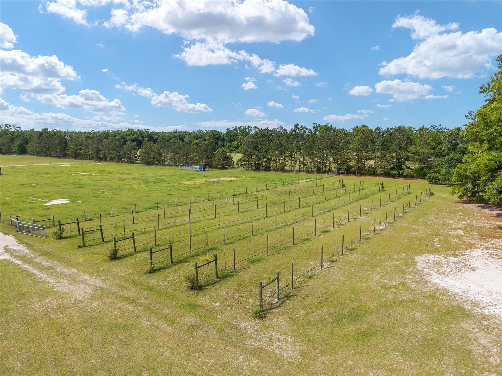 3725 172ND ST, WELLBORN, FL, 32094