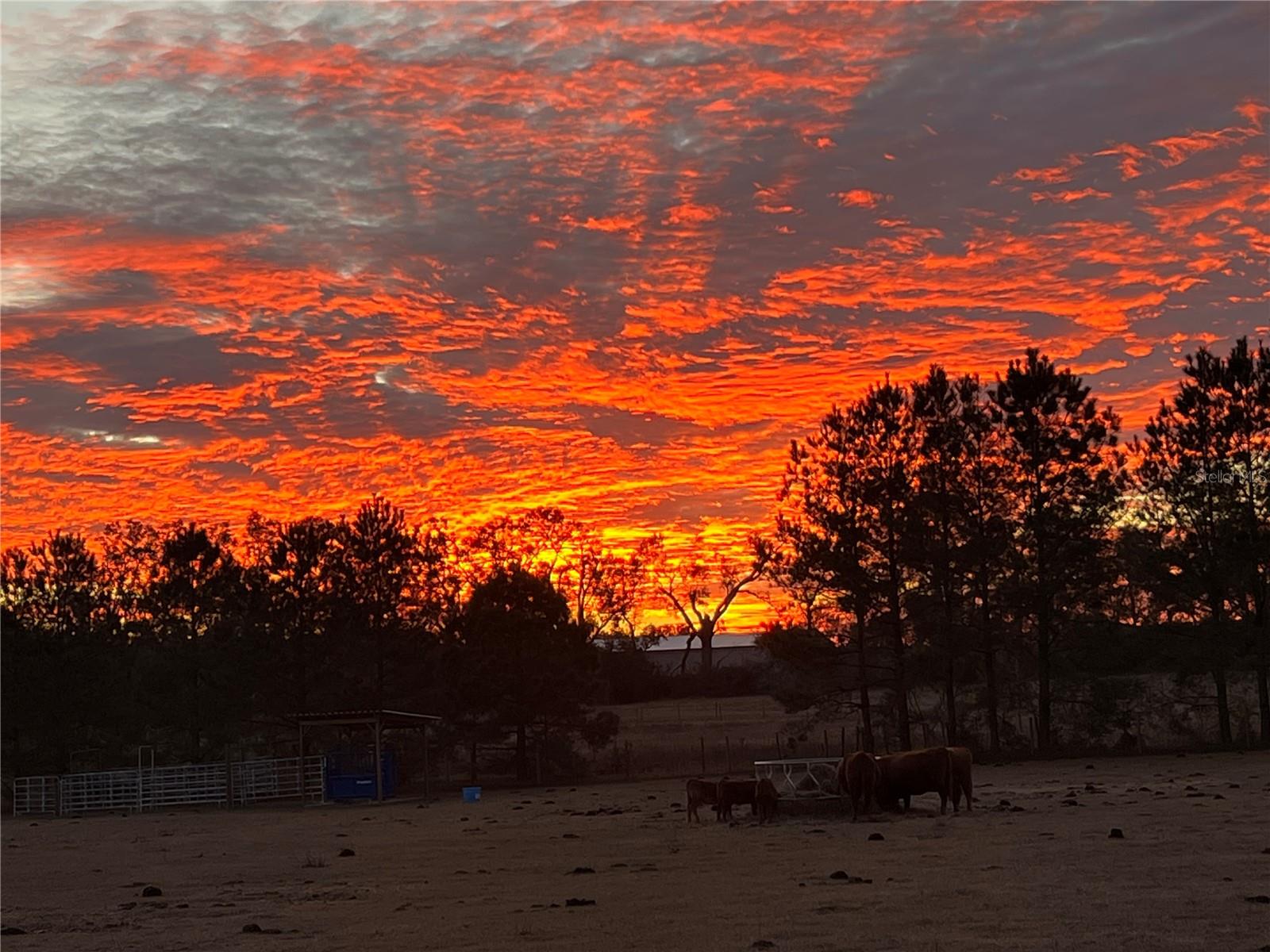 3725 172ND ST, WELLBORN, FL, 32094