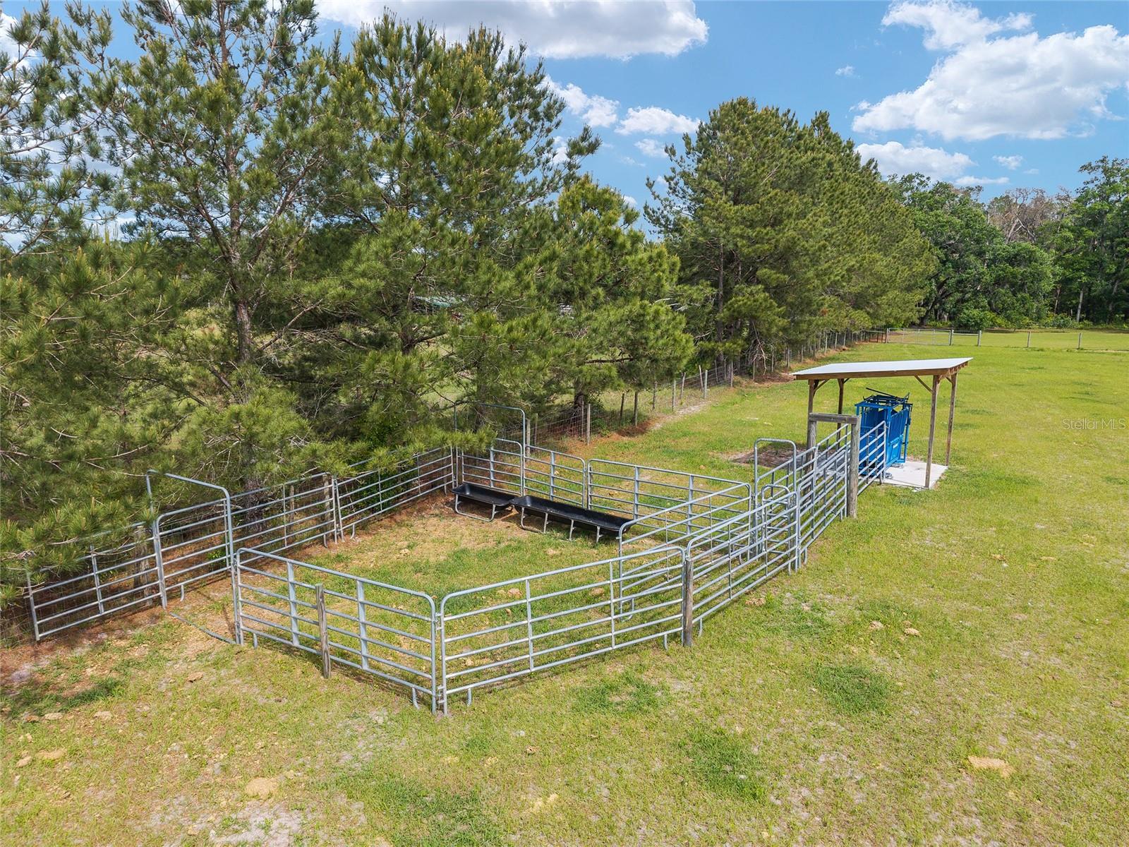 3725 172ND ST, WELLBORN, FL, 32094