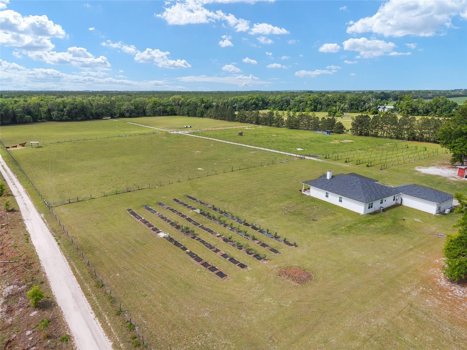 3725 172ND ST, WELLBORN, FL, 32094