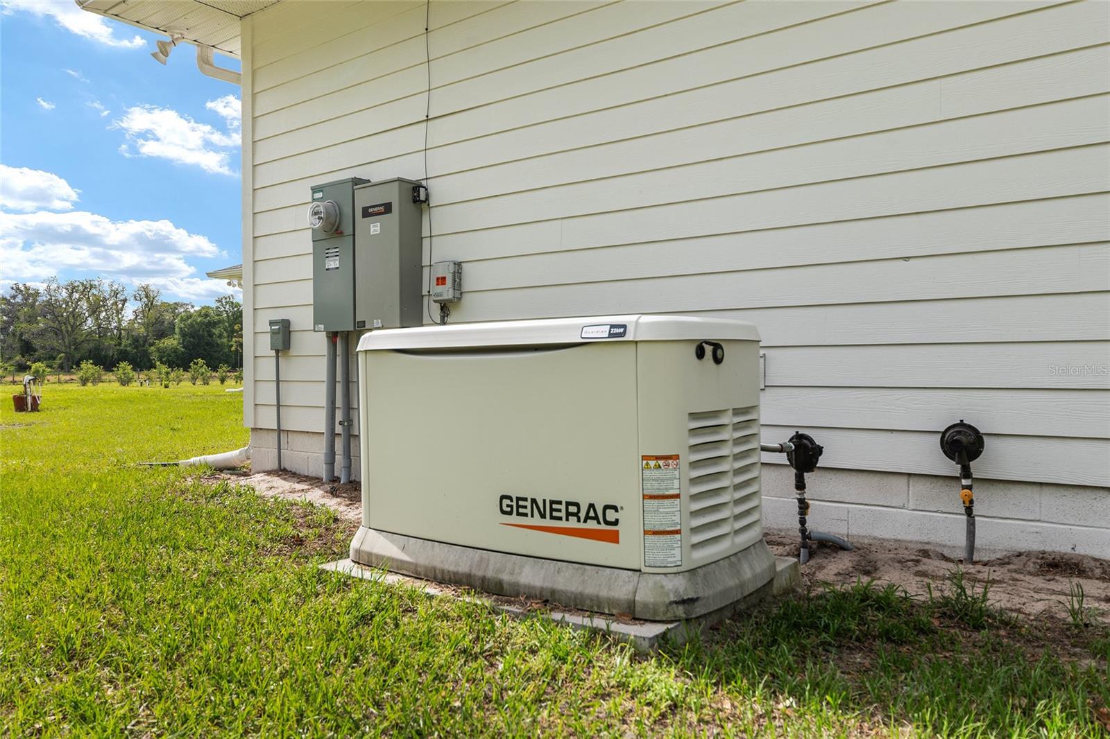 3725 172ND ST, WELLBORN, FL, 32094