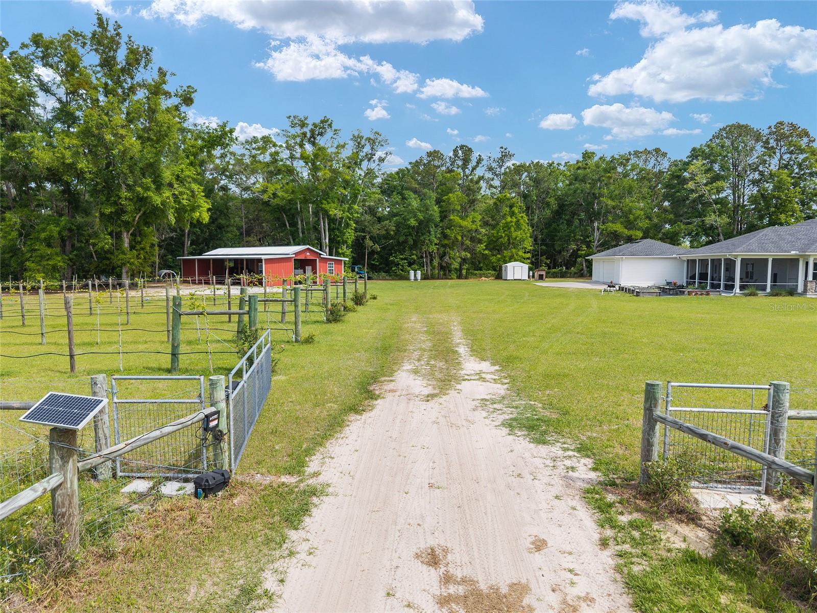 3725 172ND ST, WELLBORN, FL, 32094