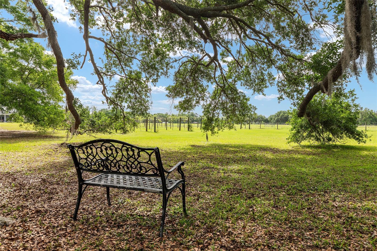 3725 172ND ST, WELLBORN, FL, 32094