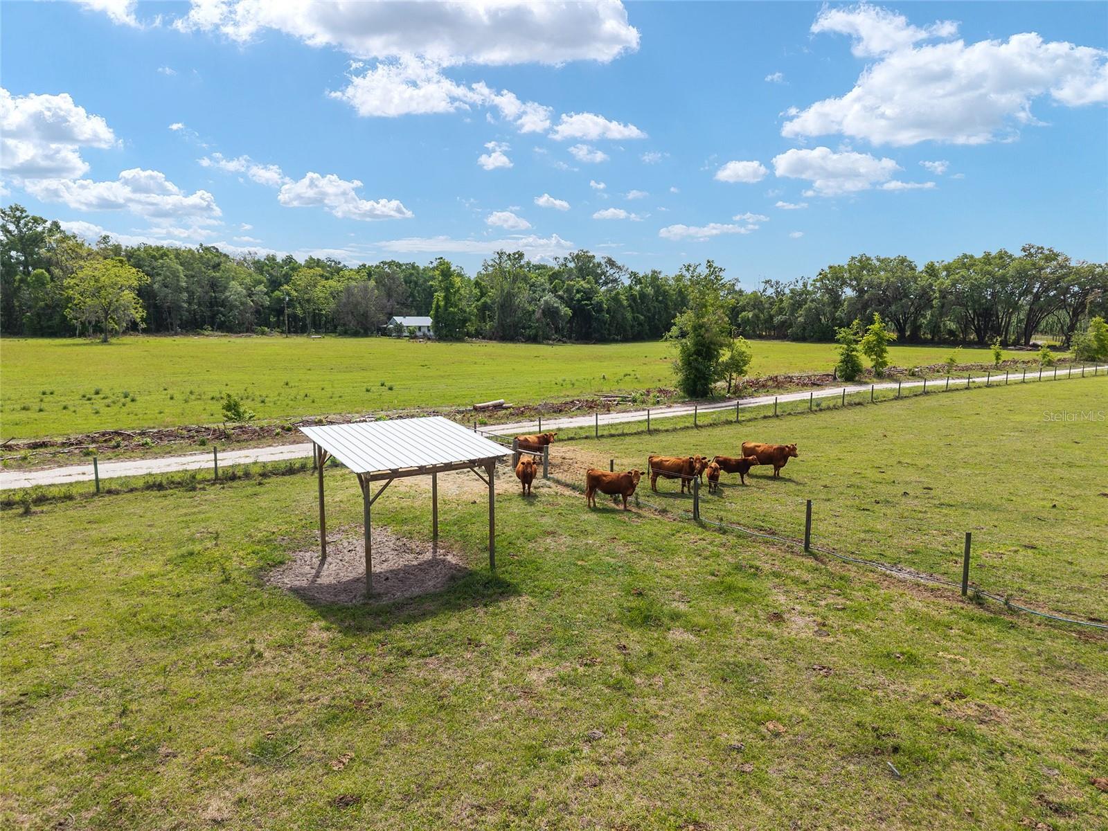 3725 172ND ST, WELLBORN, FL, 32094