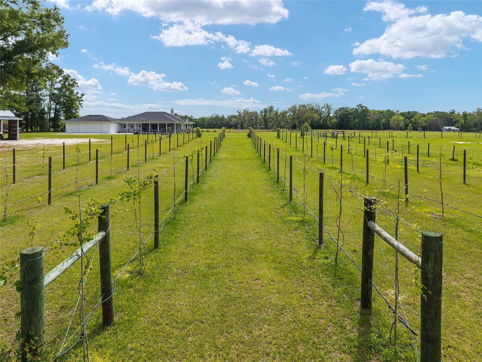 3725 172ND ST, WELLBORN, FL, 32094