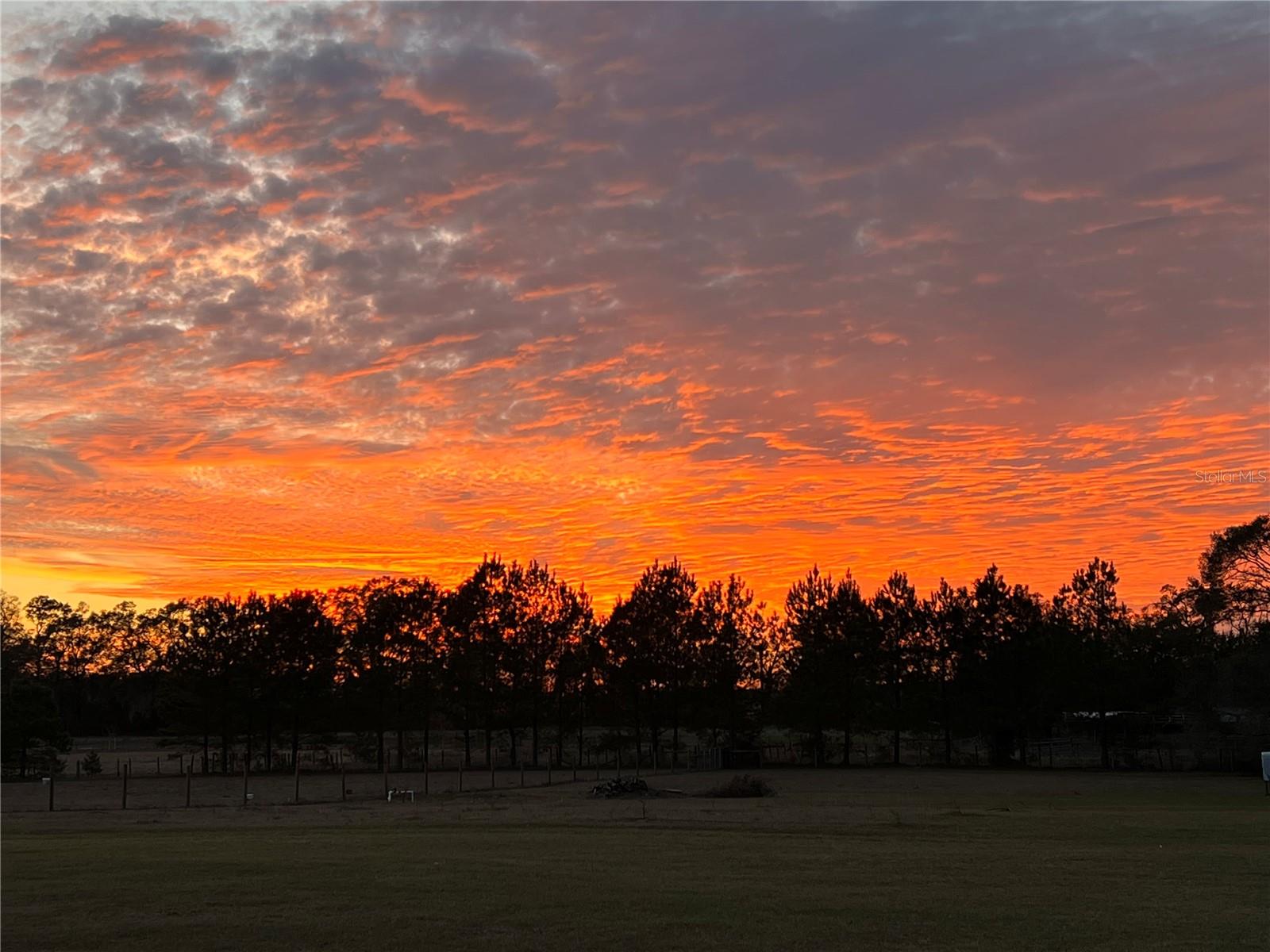 3725 172ND ST, WELLBORN, FL, 32094