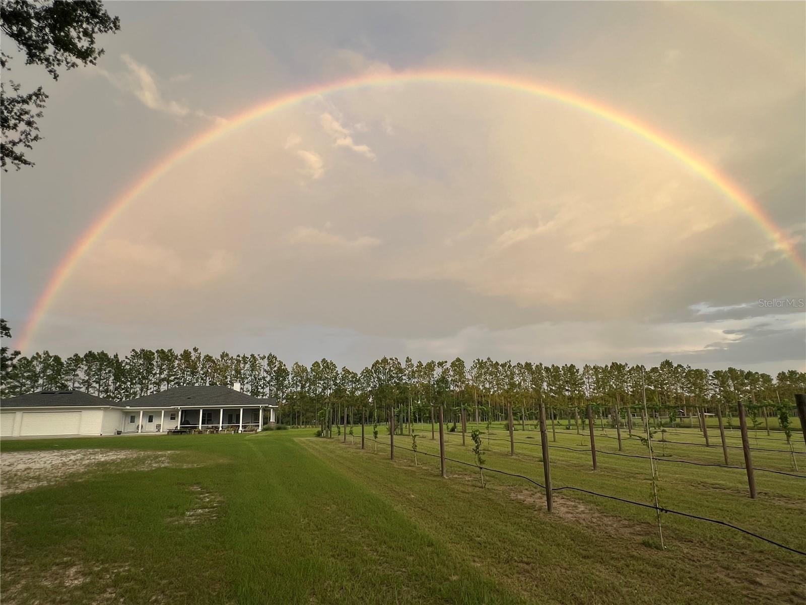 3725 172ND ST, WELLBORN, FL, 32094