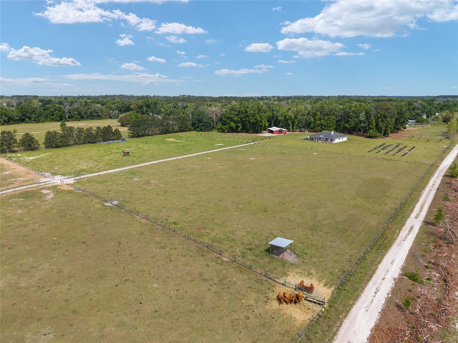 3725 172ND ST, WELLBORN, FL, 32094