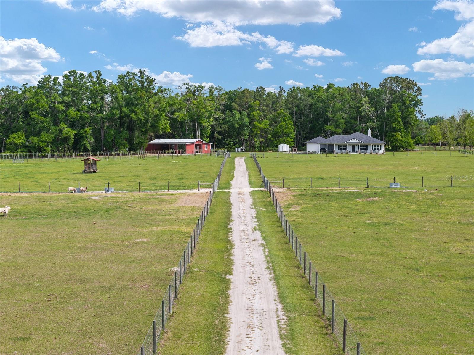 3725 172ND ST, WELLBORN, FL, 32094