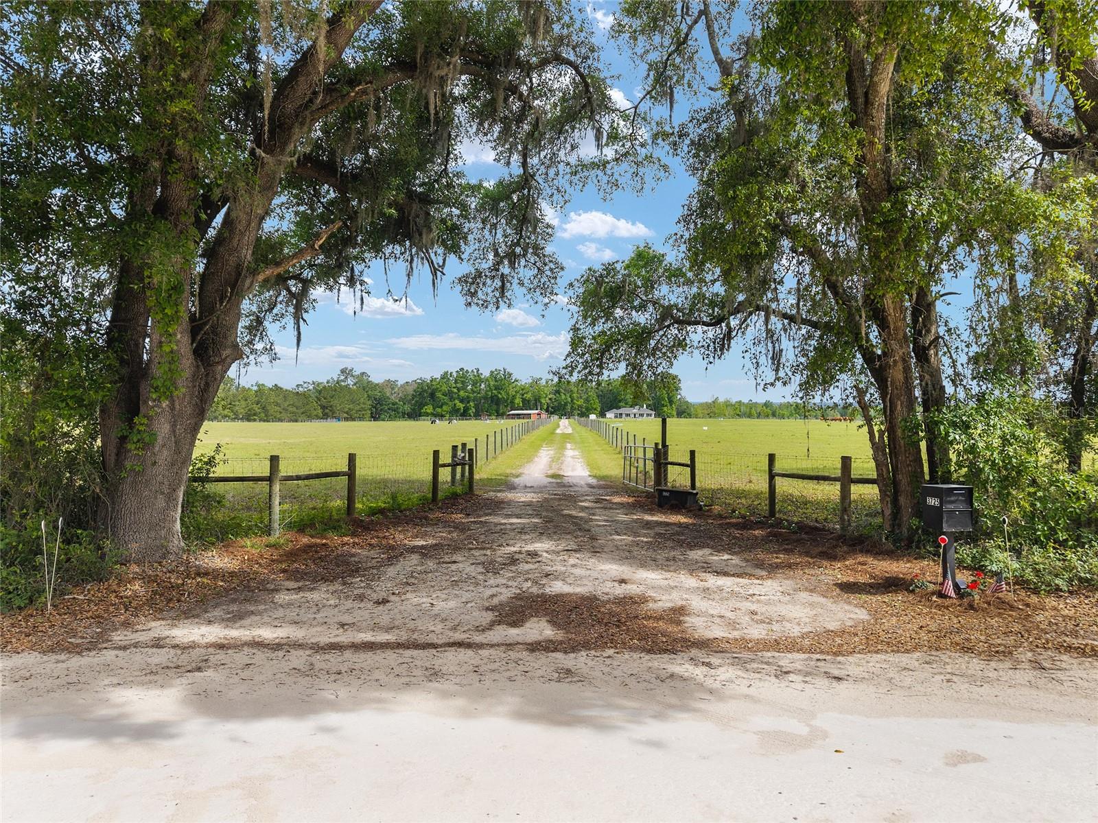 3725 172ND ST, WELLBORN, FL, 32094