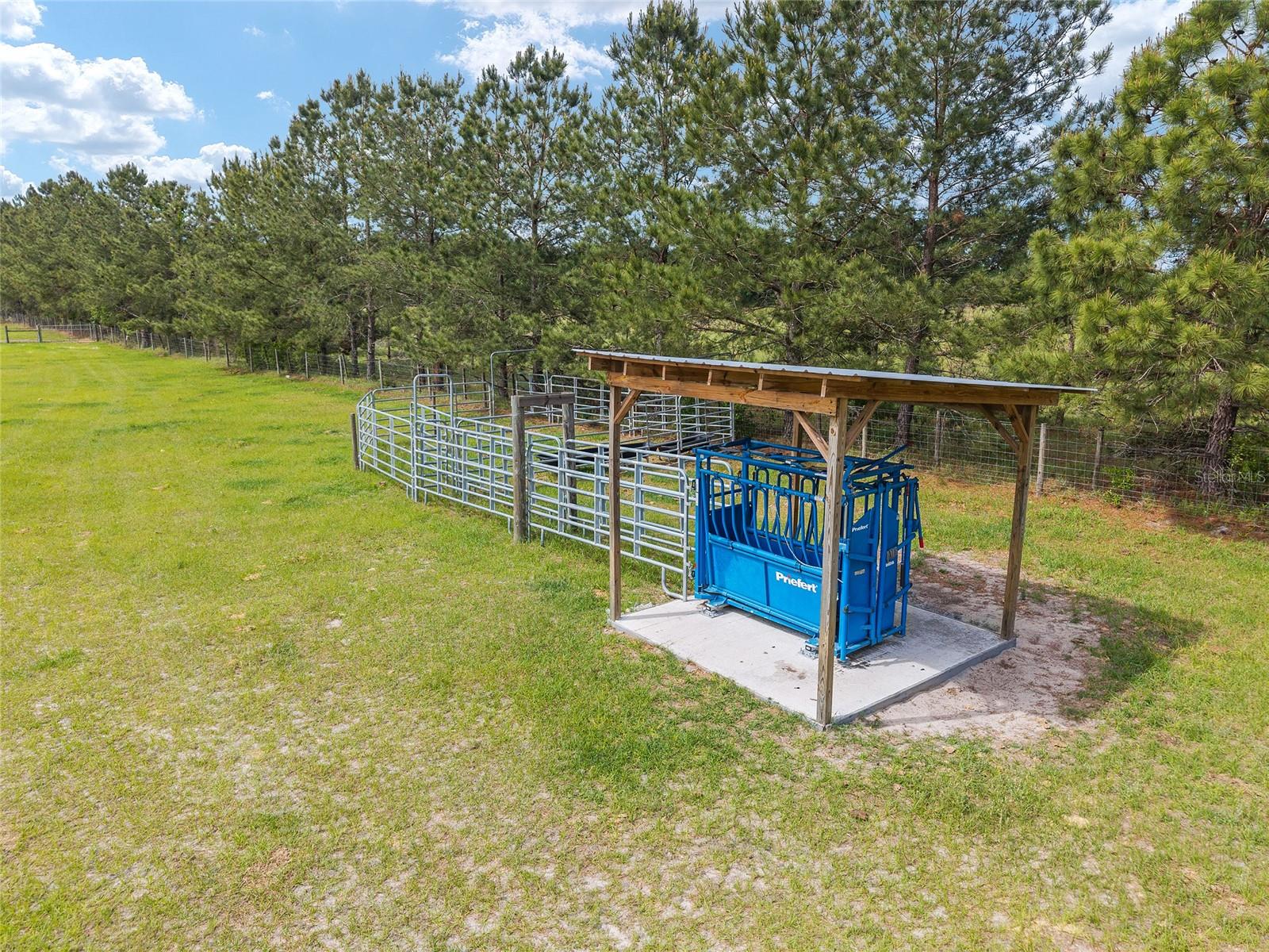 3725 172ND ST, WELLBORN, FL, 32094