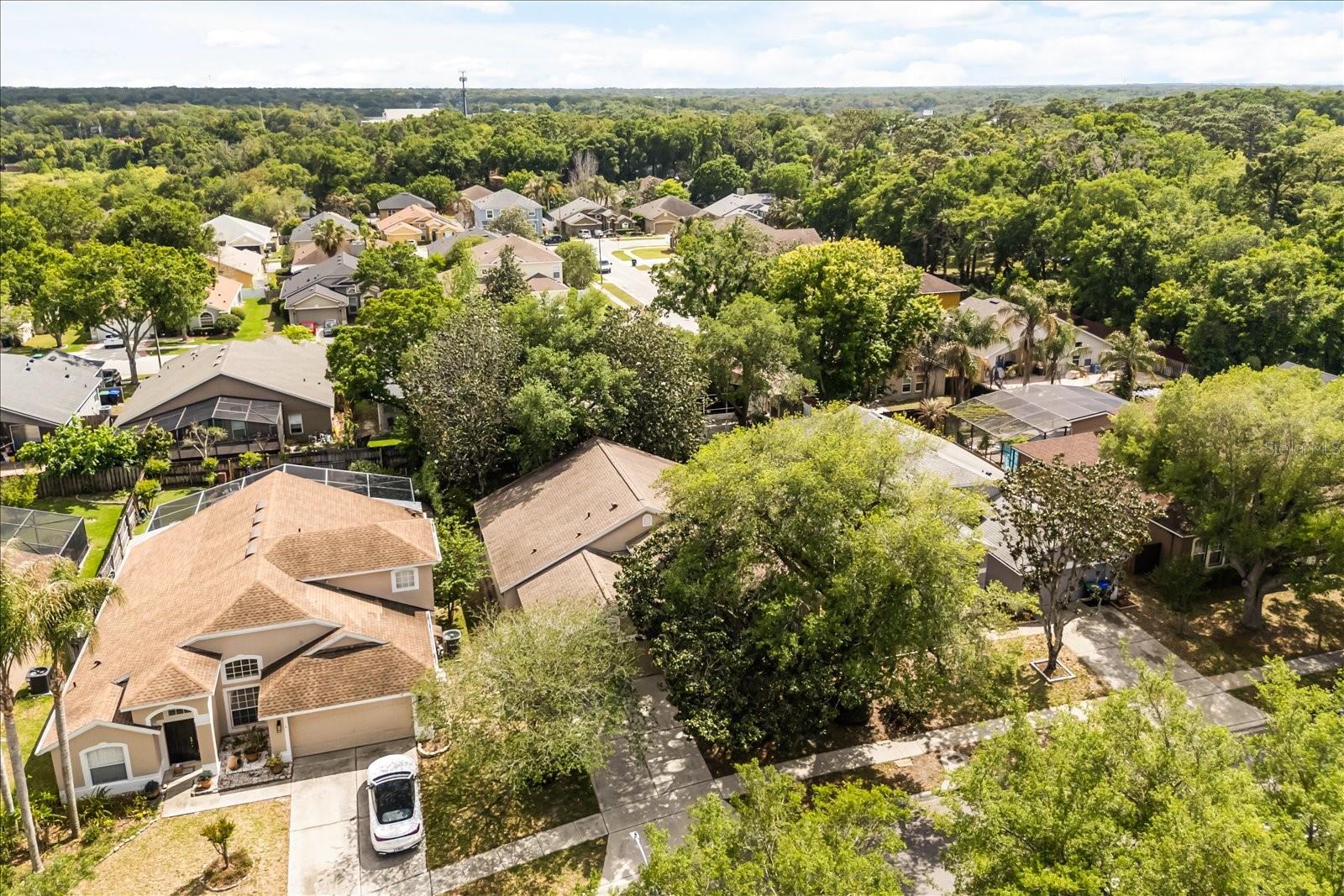 2531 WALNUT HEIGHTS RD, APOPKA, FL, 32703