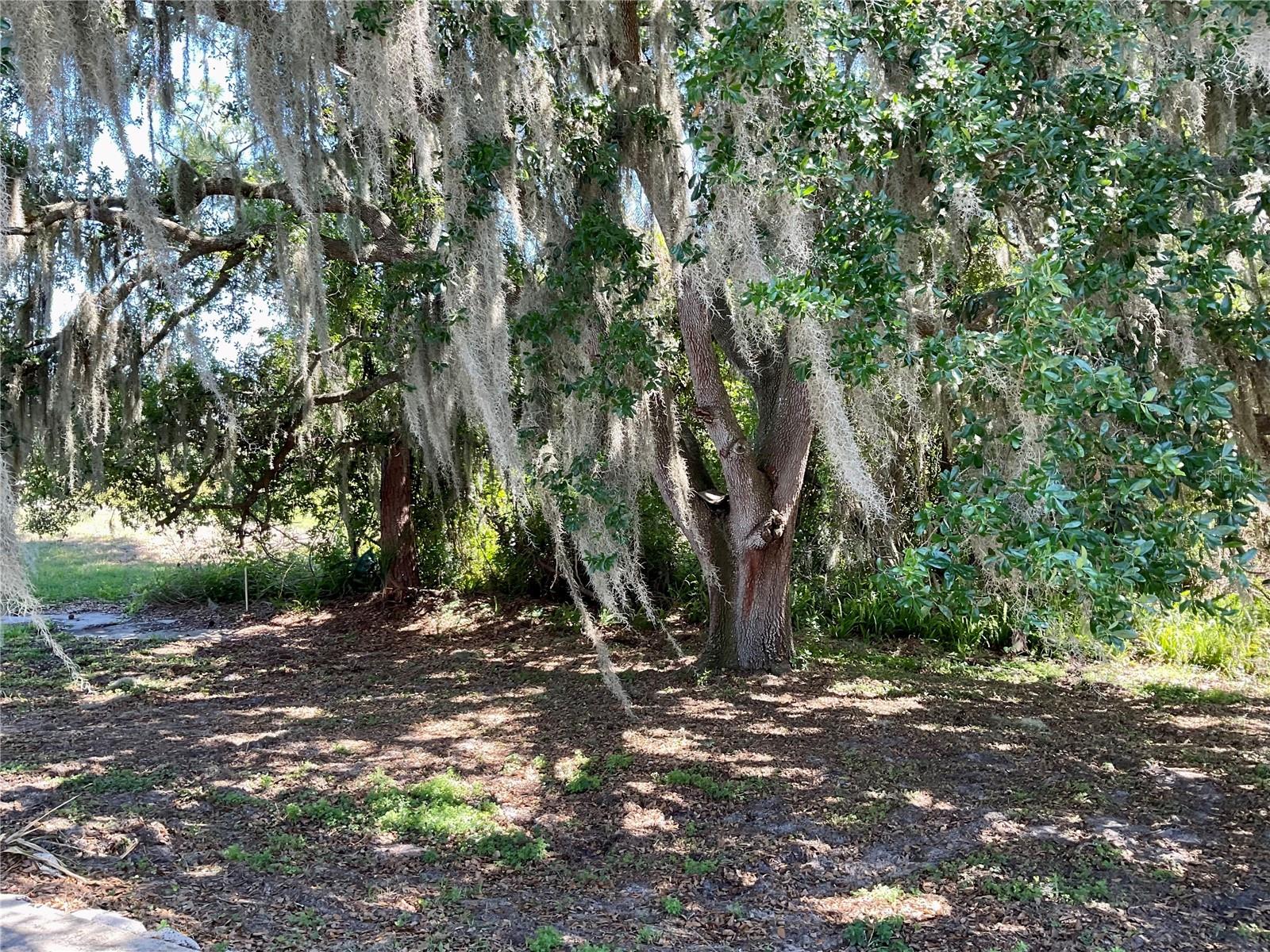 132 GOLF AIRE BLVD, HAINES CITY, FL, 33844