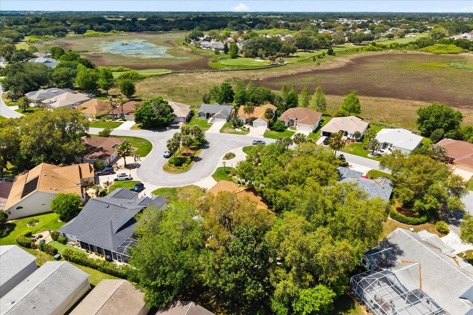 501 HERRERA CT, THE VILLAGES, FL, 32159