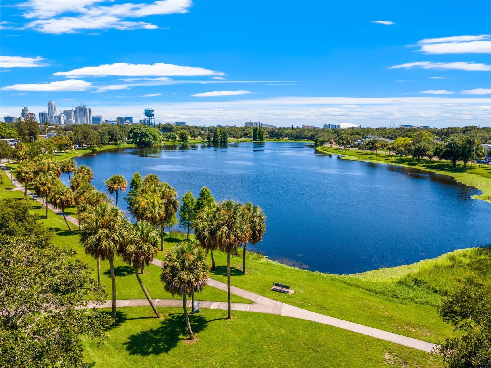 1138 23RD AVE N, ST PETERSBURG, FL, 33704