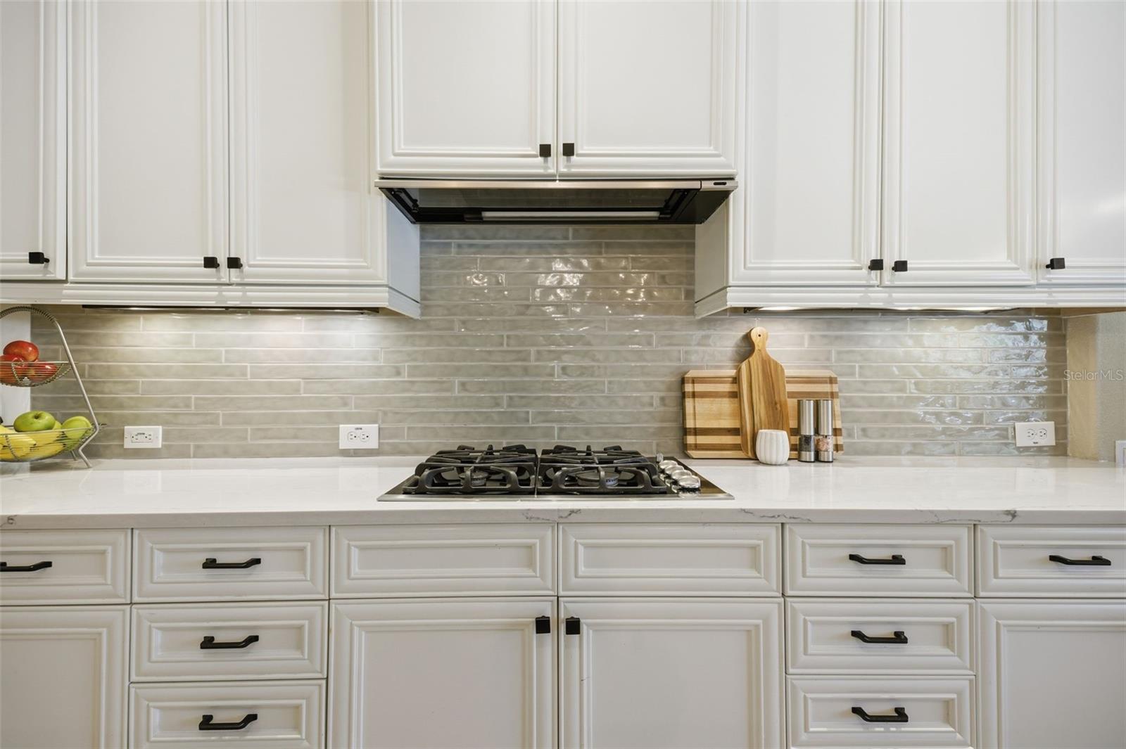 5903 ALANA LEIGH PL, LITHIA, FL, 33547