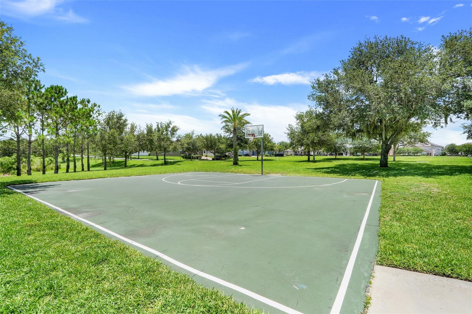 8170 BLUEJACK OAK DR, WINTER GARDEN, FL, 34787