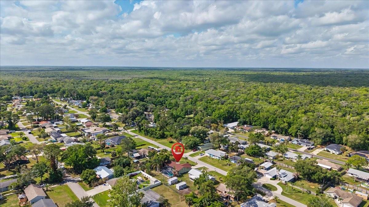 3223 TAMARIND DR, EDGEWATER, FL, 32141