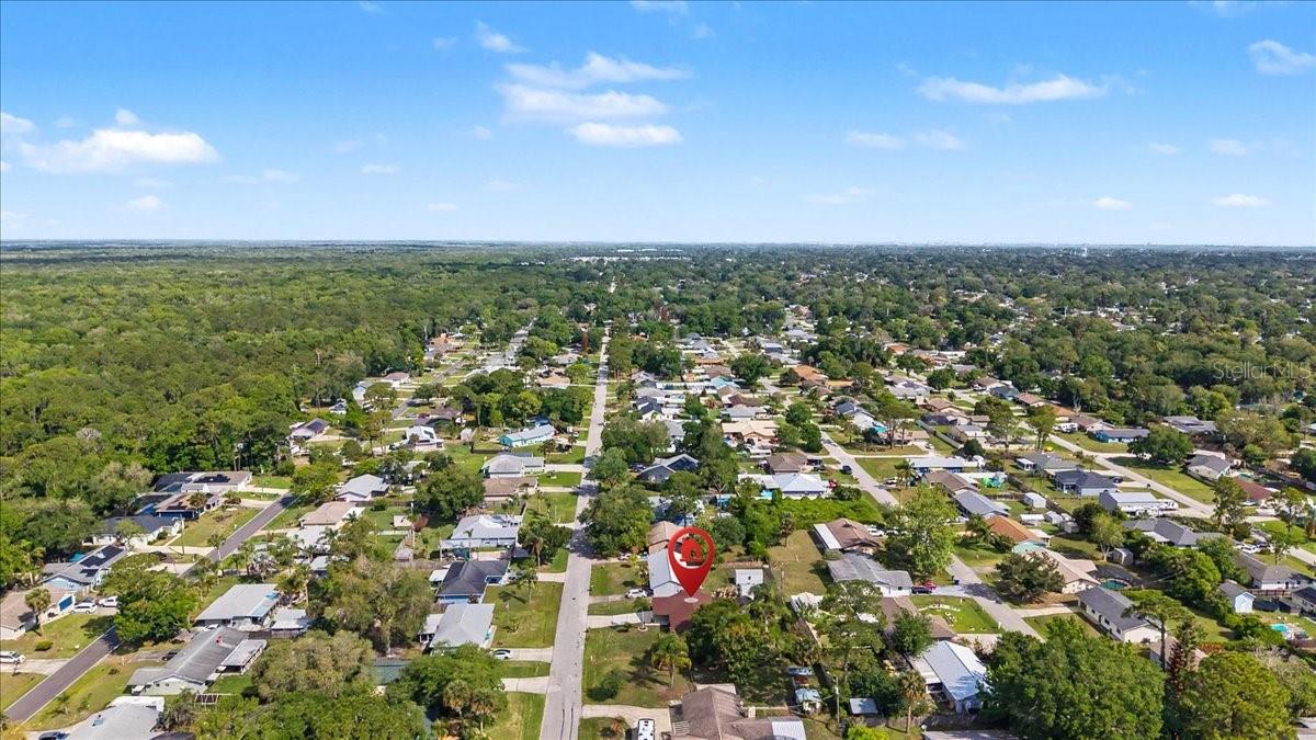 3223 TAMARIND DR, EDGEWATER, FL, 32141