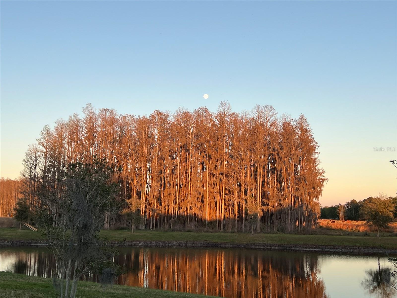 19557 SHIP WHEEL WAY, LAND O LAKES, FL, 34638