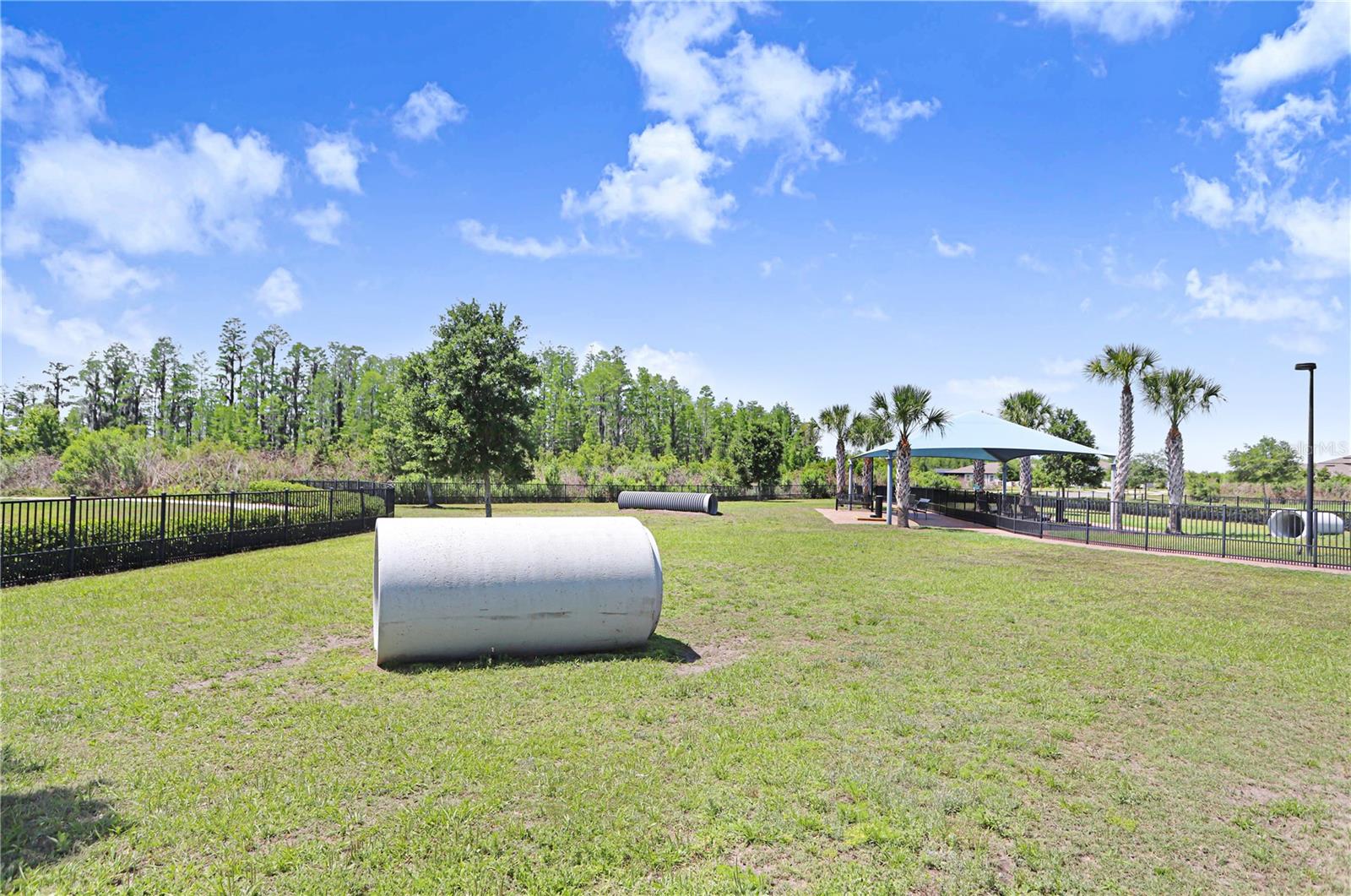 19557 SHIP WHEEL WAY, LAND O LAKES, FL, 34638