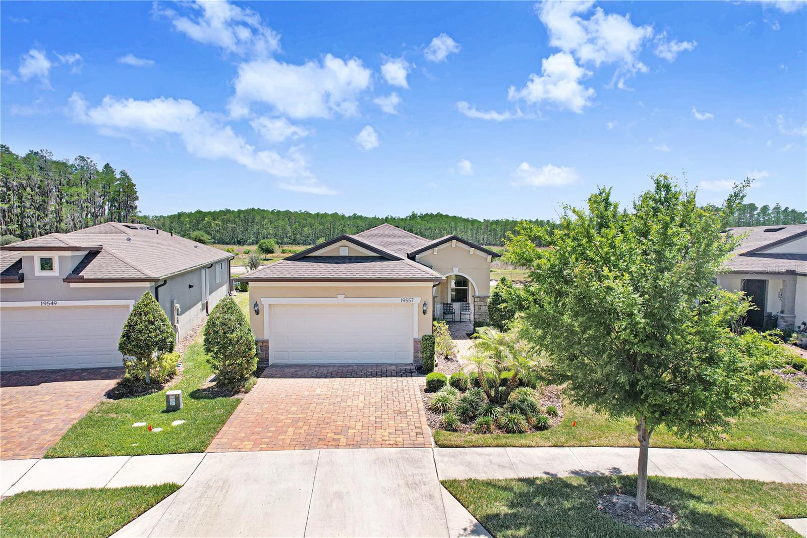 19557 SHIP WHEEL WAY, LAND O LAKES, FL, 34638