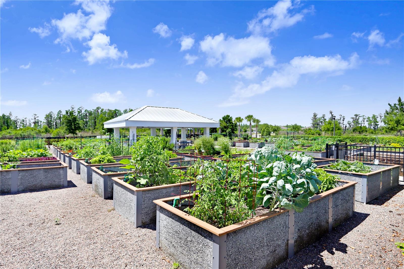 19557 SHIP WHEEL WAY, LAND O LAKES, FL, 34638