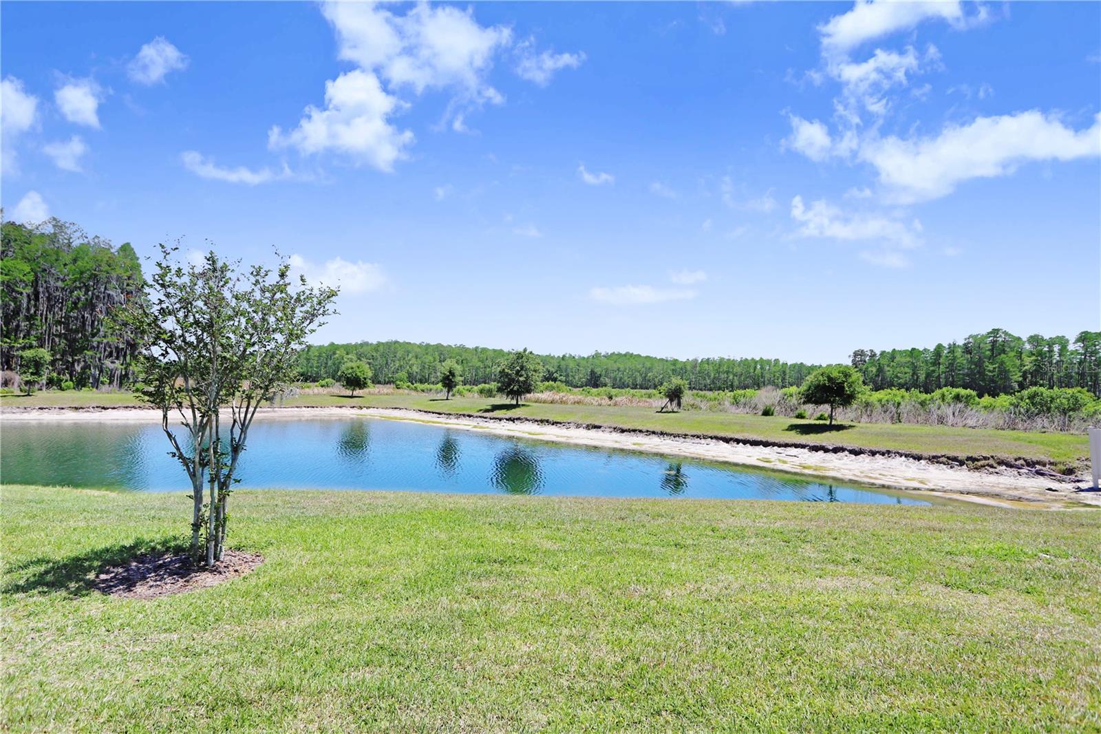 19557 SHIP WHEEL WAY, LAND O LAKES, FL, 34638