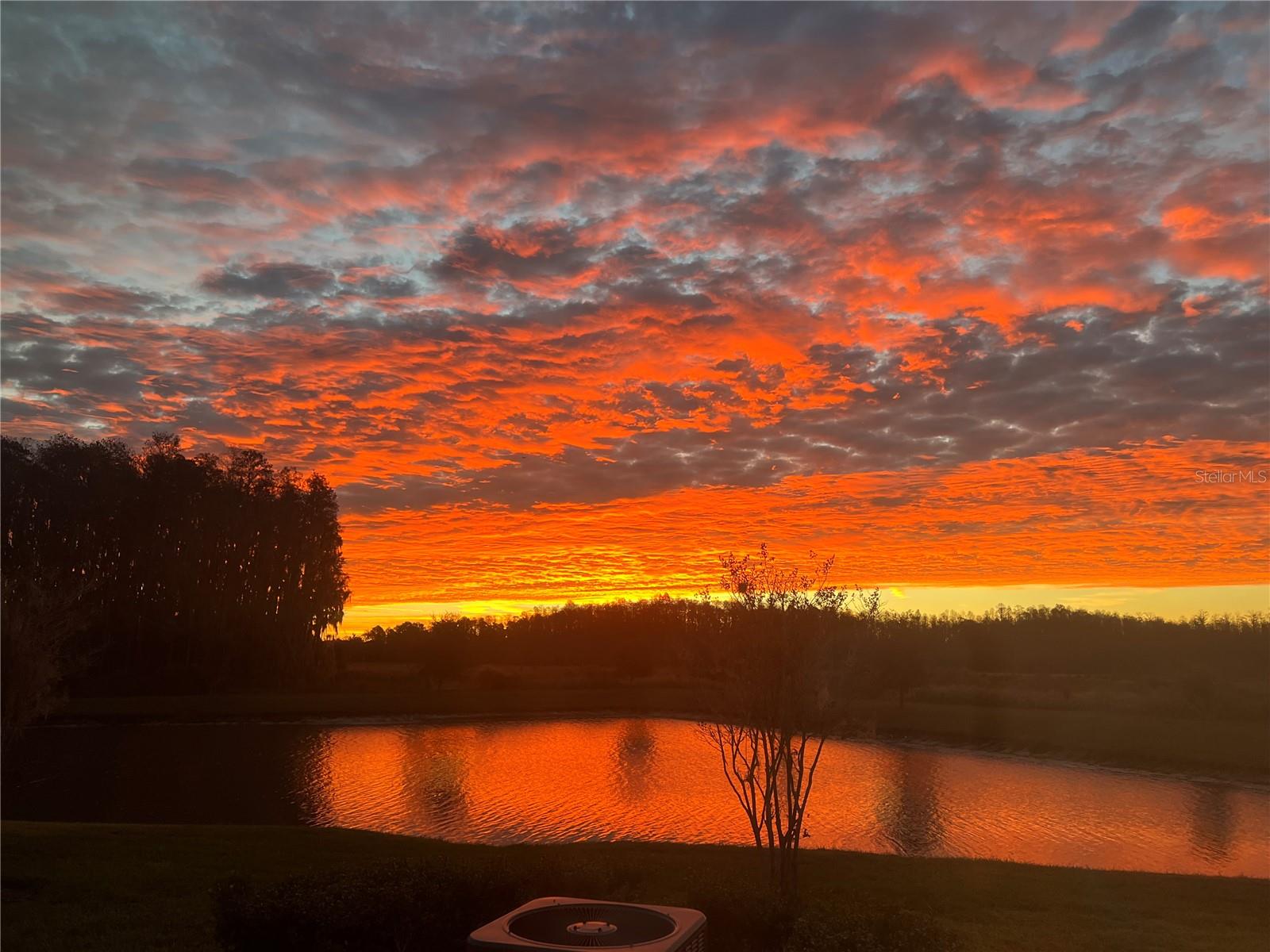 19557 SHIP WHEEL WAY, LAND O LAKES, FL, 34638