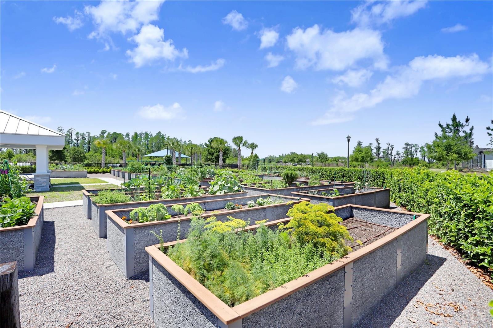 19557 SHIP WHEEL WAY, LAND O LAKES, FL, 34638