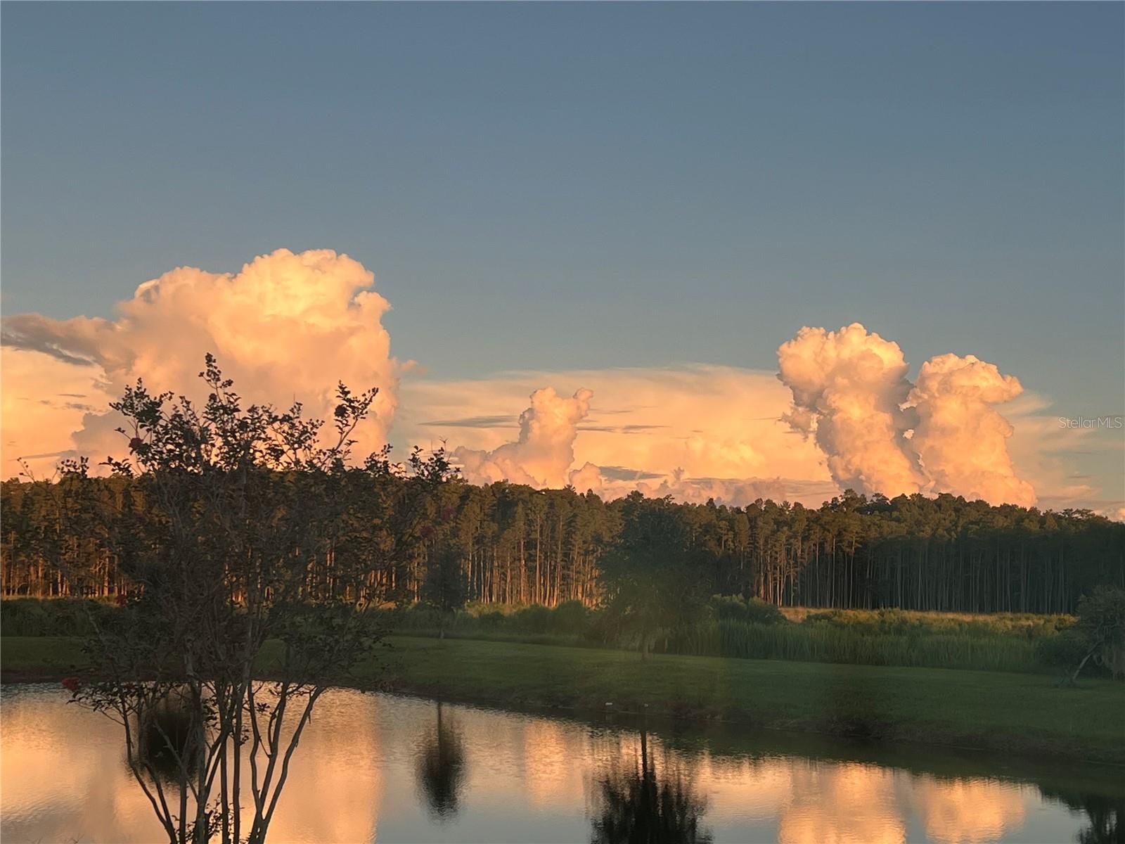 19557 SHIP WHEEL WAY, LAND O LAKES, FL, 34638