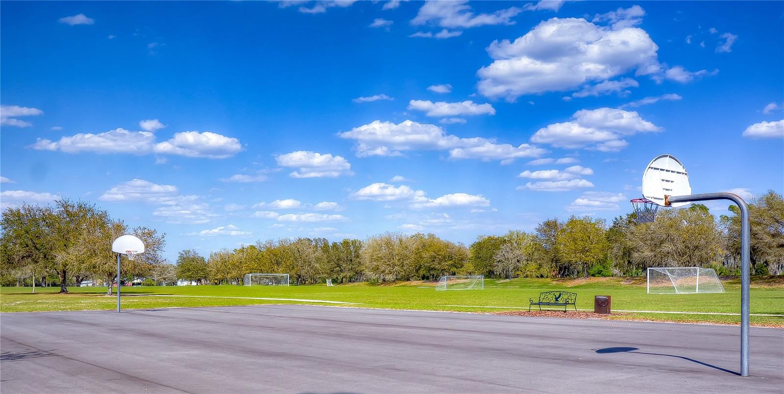 5913 FLATWOODS MANOR CIR, LITHIA, FL, 33547