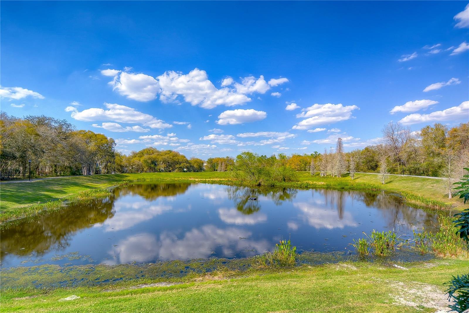 5913 FLATWOODS MANOR CIR, LITHIA, FL, 33547