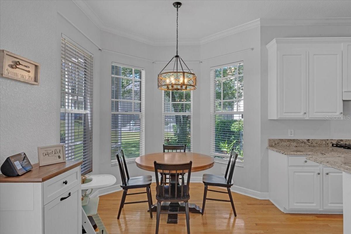 5913 FLATWOODS MANOR CIR, LITHIA, FL, 33547