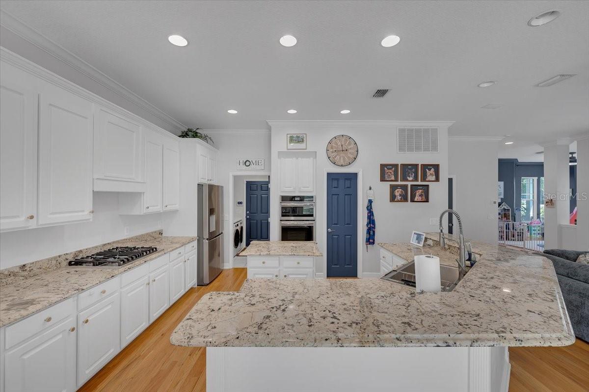 5913 FLATWOODS MANOR CIR, LITHIA, FL, 33547