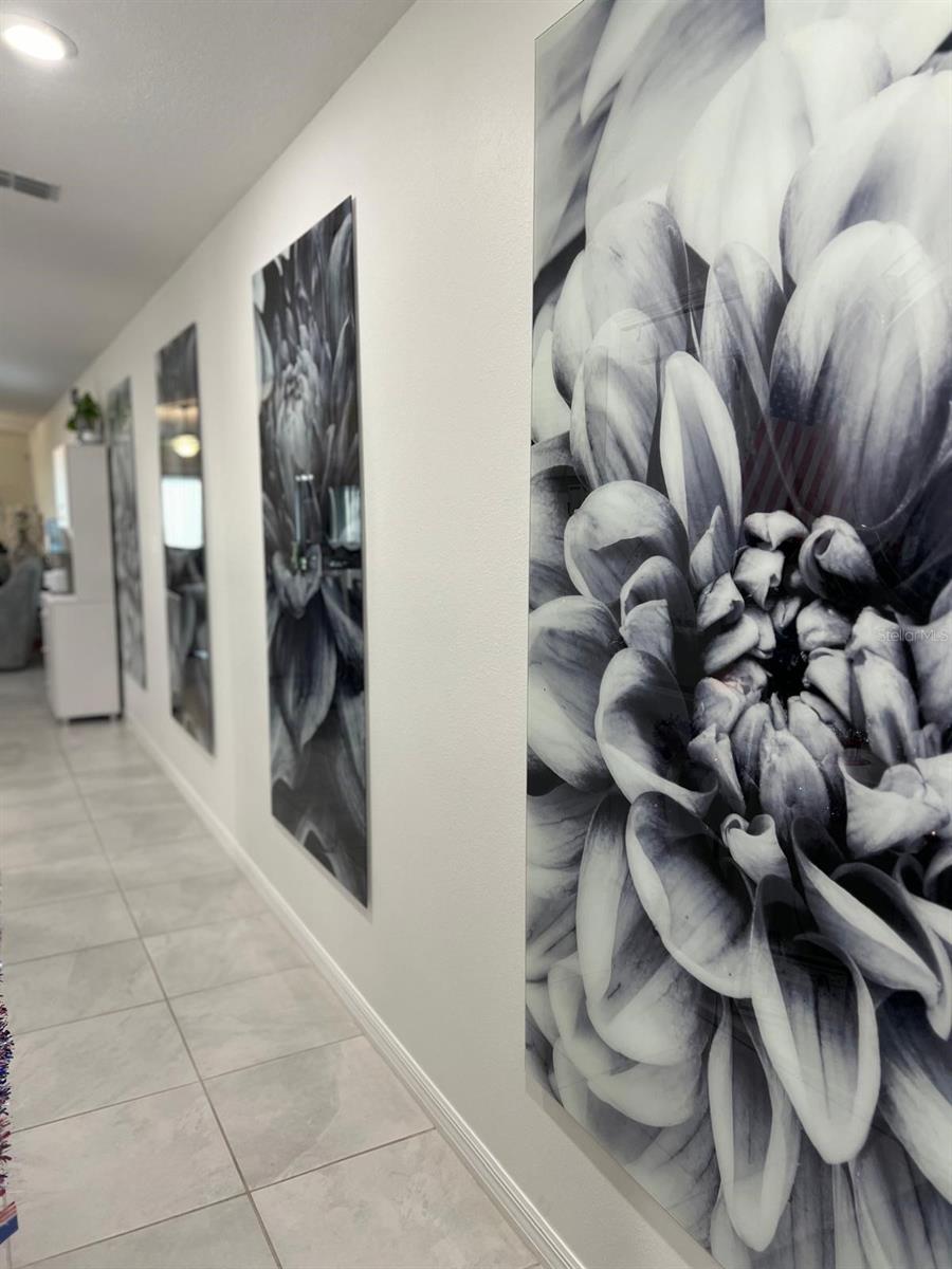 7111 AMELIA COVE CT, SUN CITY CENTER, FL, 33573