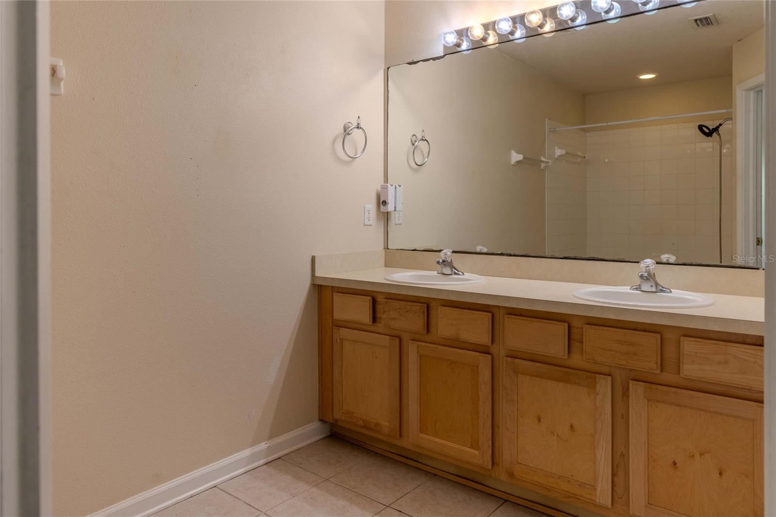 2720 CONCH HOLLOW DR, BRANDON, FL, 33511