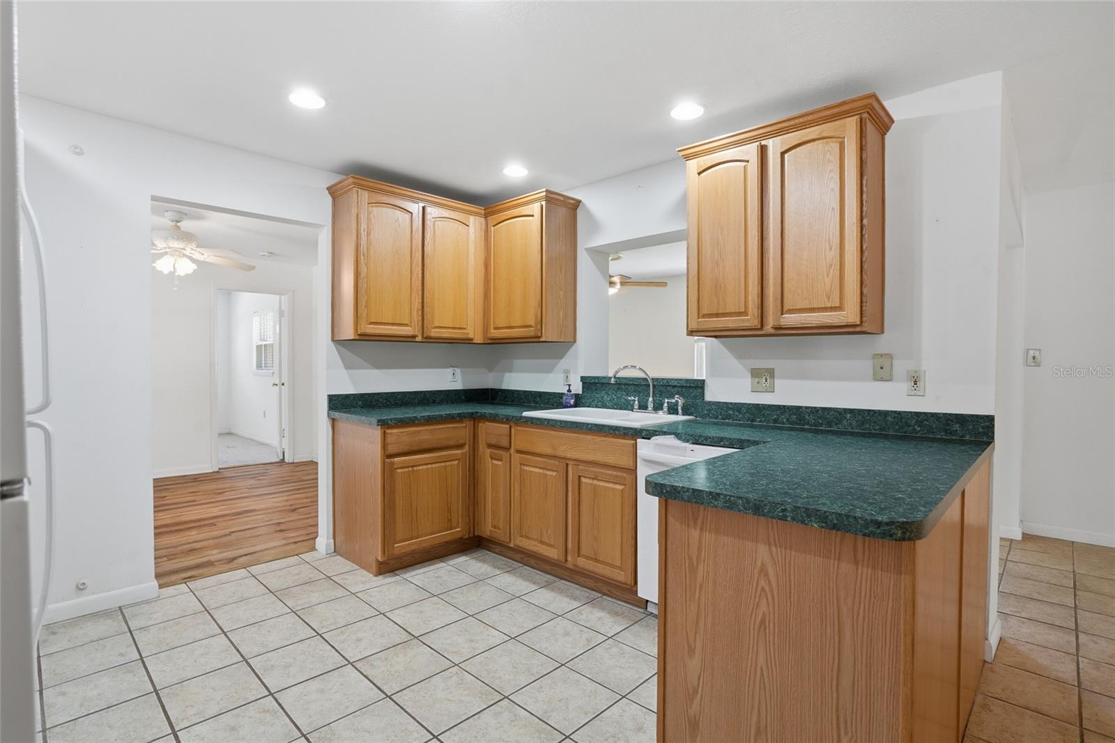 26916 MAGNOLIA BLVD, LUTZ, FL, 33559